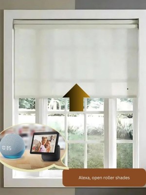 motorized blinds alexa