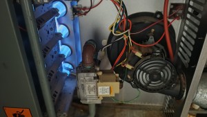 IMG 20241125 125840053