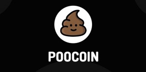 poocoin 1024x507