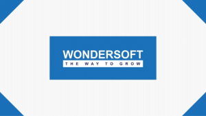 Wondersoft POS Solutions
