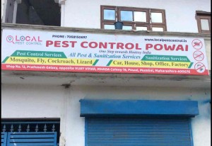 local pest control