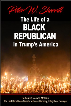 Sherrill Enterprises Latest Book Release 