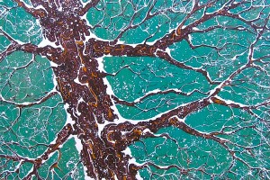 Promises to Keep, Industrial Enamel Dripped on Wood Painting