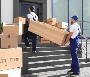 461978544 122106646664546236 1018584117012249537 n