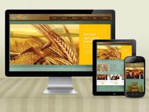 Responsive Web Design Service