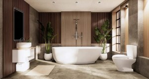 Bathroom remodeling ideas