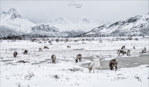 Rentier 2021 04 07 002