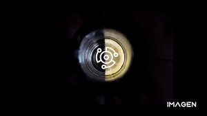 Merging AI innovation with blockchain to transform creativity and social experiences in Web3.