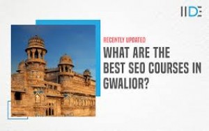 Zaara Academy SEO Cource In Gwalior