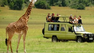 Affordable Safaris Shake Up the Travel Industry: Tour Uganda from Just $354