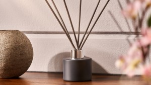 EcoScent Ariel Location 2 4 Banner