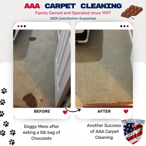 Doggie eats 5lb box of Chocolate