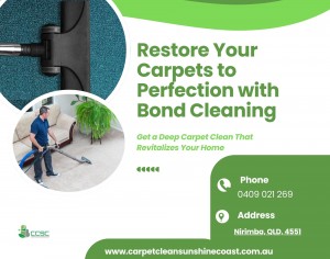 Blue and White Modern Carpet Cleaning Services Poster Landscape