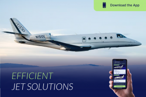 AI Driven Aircraft Selection