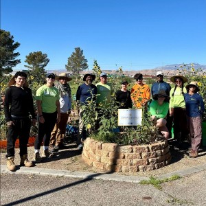 Green Our Planet featuring Sunflower Gardens for Hope