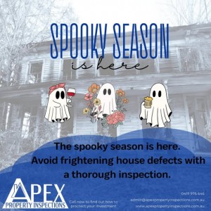 Enjoy a worry-free Spooky Season!