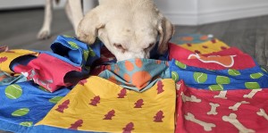 dog snuffle mat for dogs the busy blanket