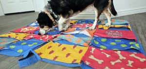 foraging mat for dogs