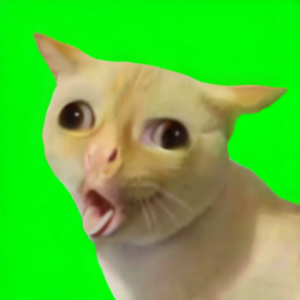 GAGCAT - the Coughing Cat meme on Solana