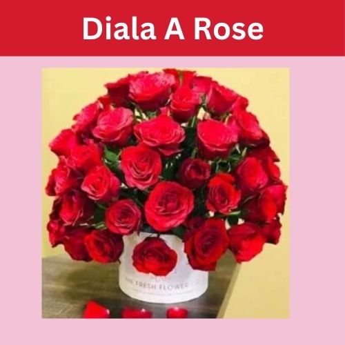 DialARose Makes Ordering Flower Arrangements Quick – Easy with Nationwide Delivery