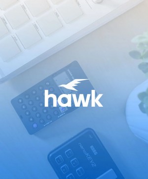 Hawk accounting