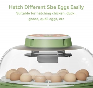 bobmail egg incubatorSuitable for hatching chicken,duck,goose,quai