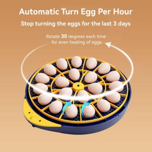 egg incuabtor with auto turning