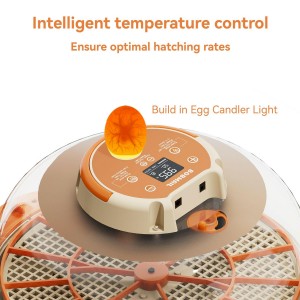 incubator for eggs with