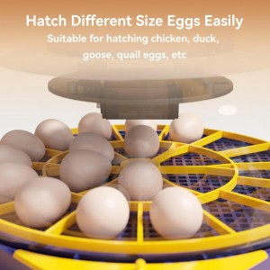 smart egg incubator with app control