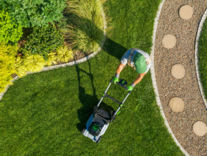 Screenshot 2024 12 31 135157