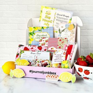 Journal Junk Box July 2024