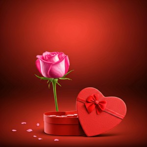 Falling In Love Album