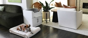 LoftyLoo Raised Litter Box