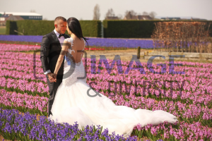 Image and Diversity LTD 