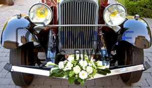 Image and Diversity LTD 