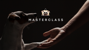 Born to Be Dog Training launches game-changing online academy