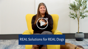 Born to Be Dog Training launches game-changing online academy