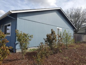 exterior house painter