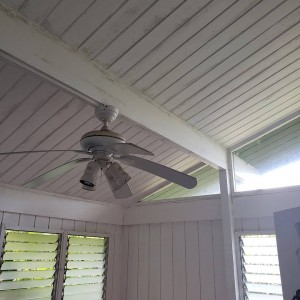 Kauai mold remediation company