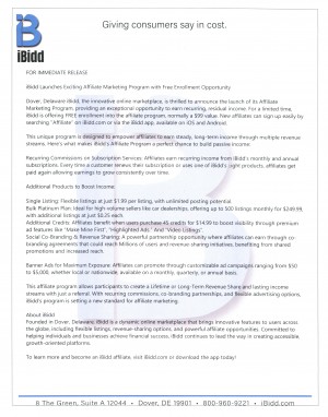iBidd Affiliate marketing