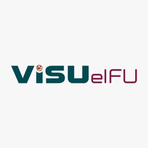 ViSU eIFU for Medical Devices
