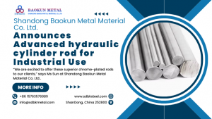 hydraulic cylinder rod
