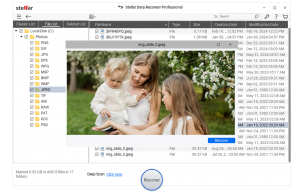 Stellar Data Recovery Professional for Windows