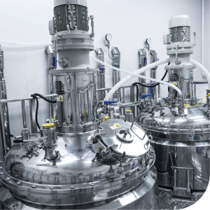 Largest Toothpaste Manufacturer