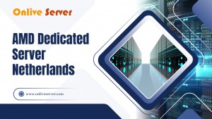 AMD Dedicated Server Netherlands