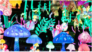 luminoCity florida image