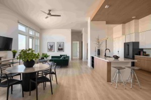 Ariva Penthouse 2 BR Living 3