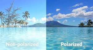 Benefits of Polarized Lenses