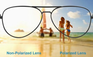 Zeelool: Understanding Polarized Lenses
