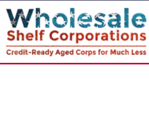 WholesaleShelfCorporations Introduces New Growth-Ready Entities for Tech Startups